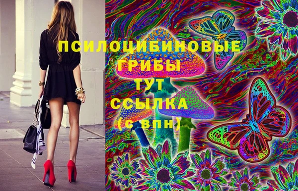 таблы Алексин