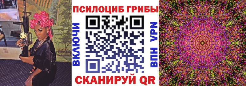 продажа наркотиков Брюховецкая Псилоцибиновые грибы MAGIC MUSHROOMS
